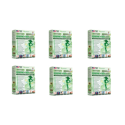 🔥Official Store | 🍋 Aetherium™ Moringa & Berberine 10-IN-1 Advanced Nano Microneedle Patch (Once Daily, visible changes in 7 days) ✅ Obesity, Diabetes, Sleep Apnea, And Joint Issues